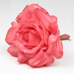 Small Rose Cadiz. 10cm. Red. RJ39